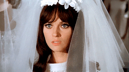 draculasdaughter:Hatchet for the Honeymoon (1970) dir. Mario Bava