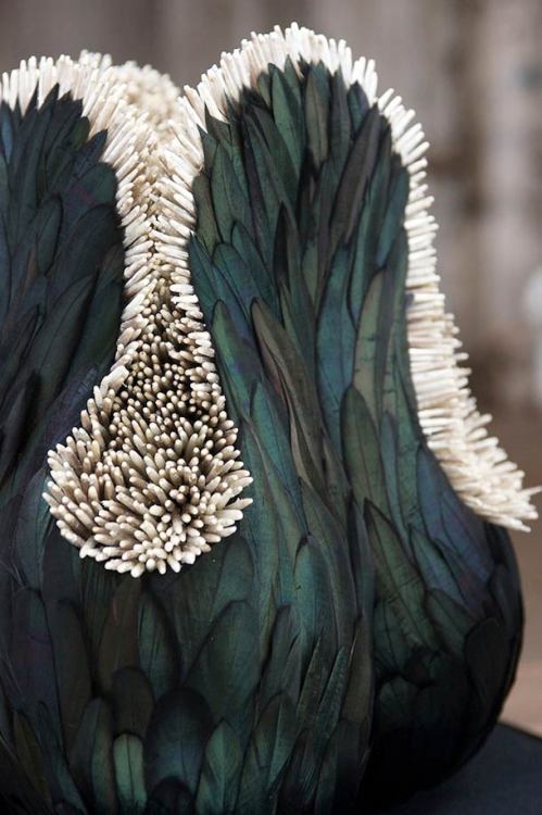 ethonydawn:art-tension:The fascinating feathers sculptures by Kate MccGwireThe fascinating sculpture