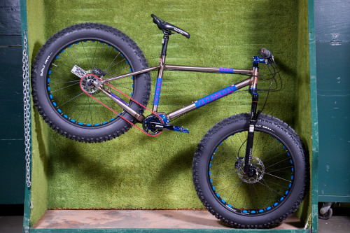 kinkicycle:  _DSF6058 by Gates Carbon Drive