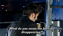 castieltheflyingassbutt:  Moffat take notes, this is how you do foreshadowing 