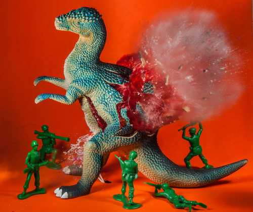 crossconnectmag:This is Alan Sailer. He photographs stuff blowing up. His explosions have beautifully transformed toys, figurines and other household items into colorful fragmented sculptures. Follow him on Flickr to see more. — Posted by Augustation.