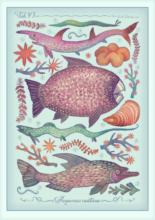 Aequoreus creaturae (or Marine creatures in Latin) is an illustration series inspired by vintage enc