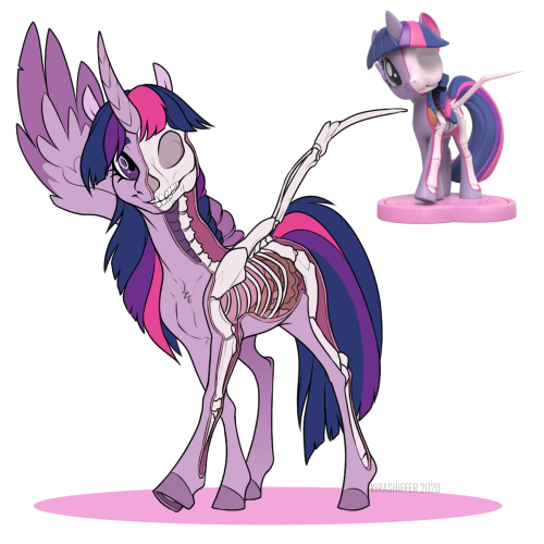 rezident369:  Week ago I wanted to draw Twilight from series of toys Freeny’s Hidden Dissectibles…and I didn’t stop on only Twi :’DSomeone can see these pictures on my Twitter or VK ~~Just I wanted post all of them here   at once, not individually