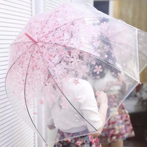 niseu:Sakura Umbrella ► discount code : Joanna15