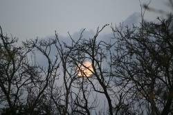 ancientxdelirium:  Full Moon at Dusk by Hui-Imm on Flickr.