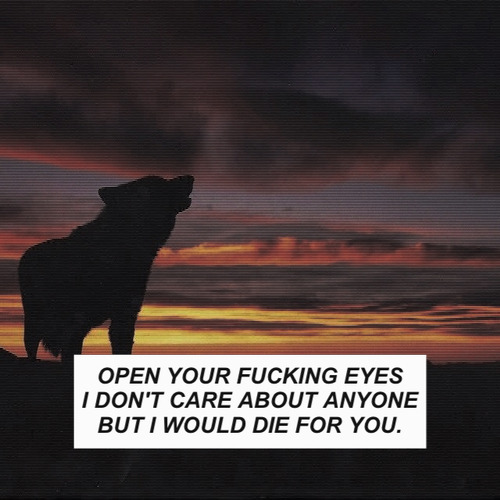 queener:  Indie Grunge Blog x