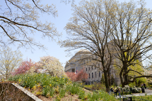 Dear Friends, The Brooklyn Museum cares deeply about issues that affect our communities. As you may 