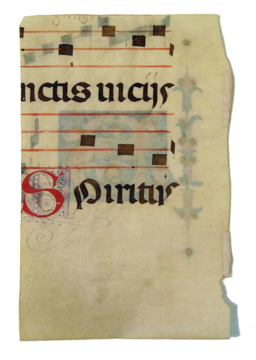 design-is-fine:Manuscript initial, decorated S in colors and gold, 15th century. Portion of leaf fro