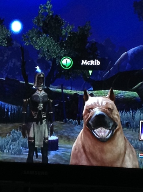 foolishandfurious: Naming the dog is the best thing about Dragon Age: Origins