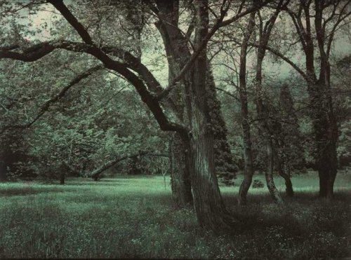 aozoramusume:Photographed by Pyotr Vedenisov, 1910s