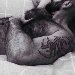 hairyfuckers:  Get lost in the fur 
