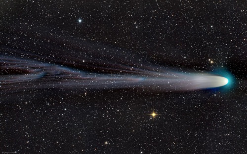 the-wolf-and-moon: Comet Leonard, Christmas Comet