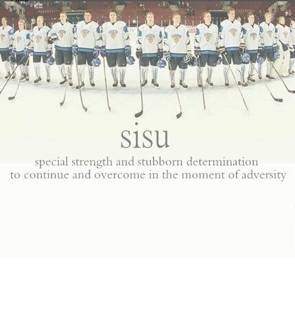 hockeyflicka:  Lions🦁💙