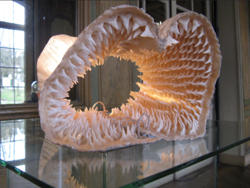 myampgoesto11: Sarah Garzoni: Breaching, 2010 19th century corset, 1000 sharks teeth, plaster, wax 