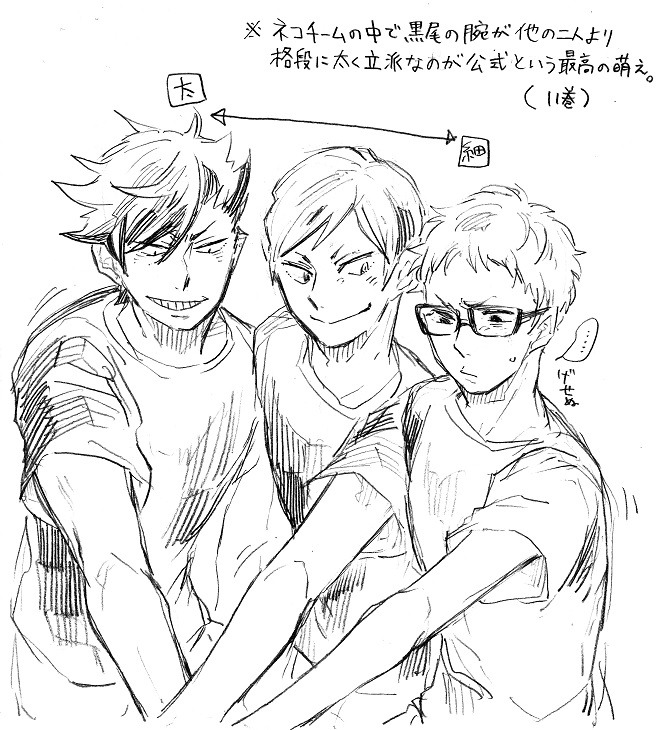 :  【腐向け】HQ落書き 