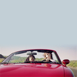 maplecroft:baby, i was afraid beforebut i’m not afraid anymorewe’ll make heaven