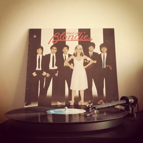 Porn zerouno:  #blondie #parallellines #vinyl photos