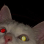 its2055
