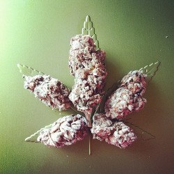 Enjoy the weed!🍁