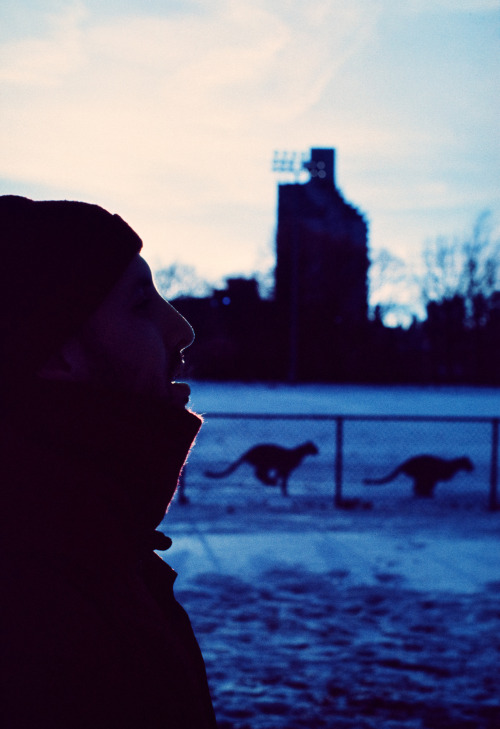 Snow Day in NYC (January 2014) Kodak Ektachrome Infrared (EIR)