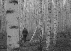 hirxeth:Ivan’s Childhood (1962) dir. Andrei