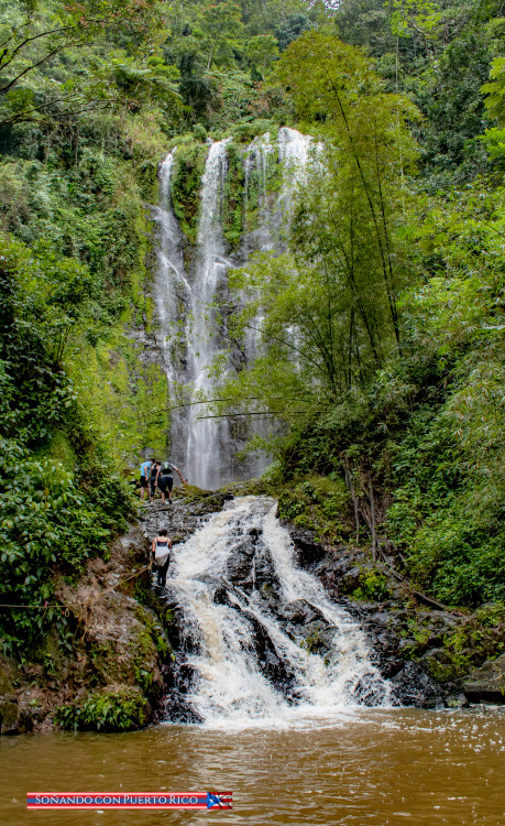 Charco Prieto, Bayamón, Puerto Rico