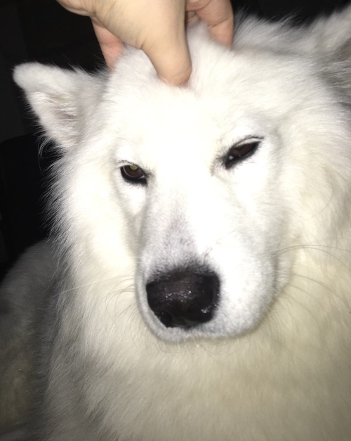 tyridot:  she’s here…