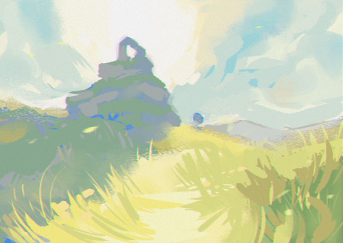 Botw studies!