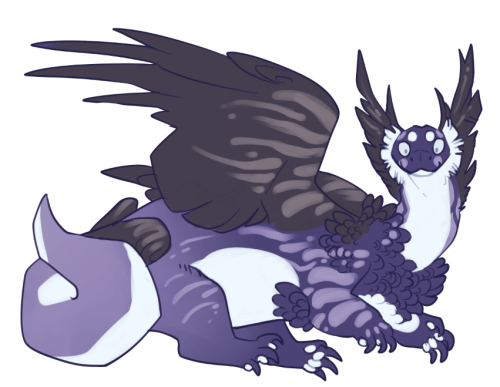 clan-fuildarach: for my least favourite dragon breed they sure are fun to draw