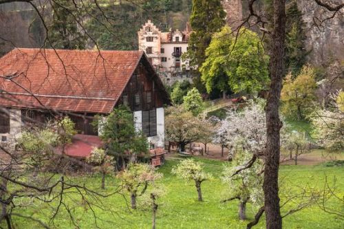 silvaris: Swiss Alpine Estate and Farm by Duncan Pond