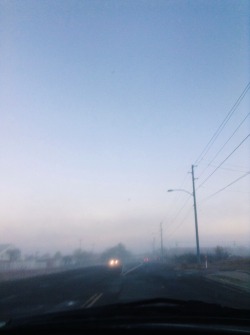 hydropicus:  morning fog