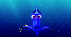 iamnevertheone:       I have to find my son, I have to tell him how old sea turtles are!      