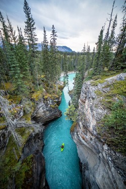 venvm:  Alberta Kayaking by: { Chris  Burkard }