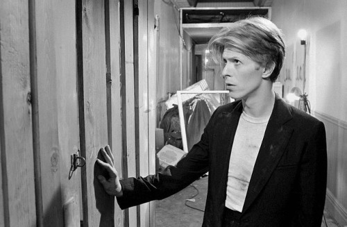 the man who fell to earth