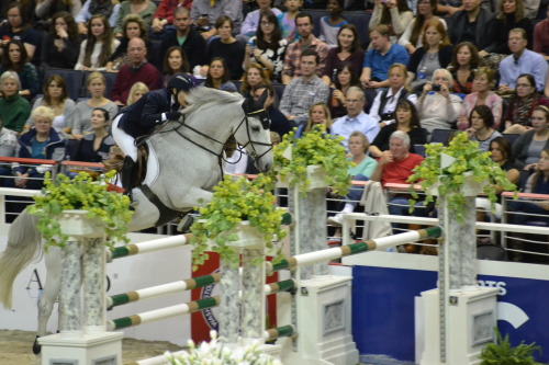 WIHS 2014 &copy; Ranglo