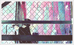       c.a.p in the &lt;no.1&gt; album teaser        