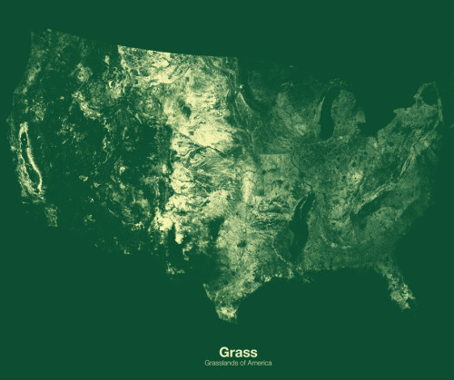 kateoplis: The Greens of America, Michael Pecirno  | WIRED