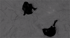 emmawayson:  We’re going to recapture my creatures before they get hurt. They’re