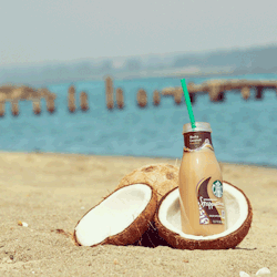 frappuccino:  You turn your back for one