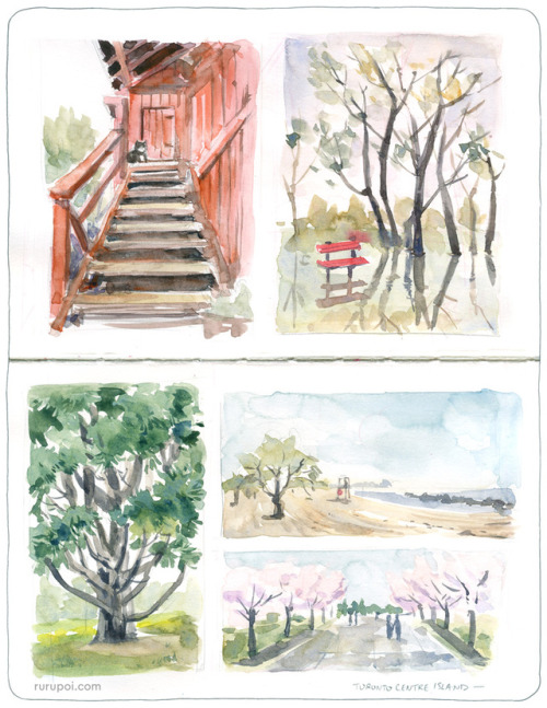 Quick watercolour studies based on photos I took at the Toronto Islands a couple of weeks ago! It wa