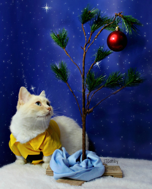 Merry Christmas, Charlie Brown! ❤ #charliebrownchristmas ❤ #charliebrownchristmastree ❤ ❤#JTCatsby ❤