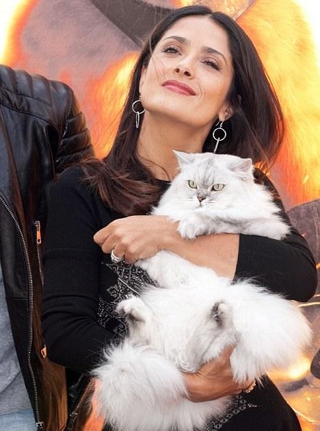 Salma Hayek and cat