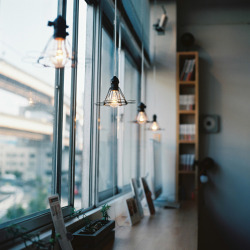 noperfectdayforbananafish:  lamp (by toshi@yuki) 