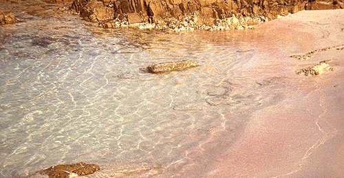 cinemaspam:Who was singing? The beach was deserted like always, but there was that voice, sometimes 