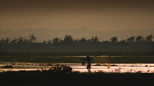 XXX soon-monsoon:  Monsoon by Sabit  photo