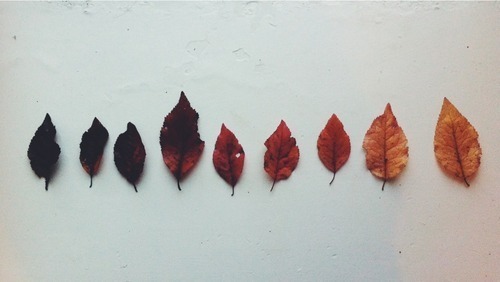 alostinspirationx:  http://weheartit.com/entry/81978717/via/beautifullydestroyed