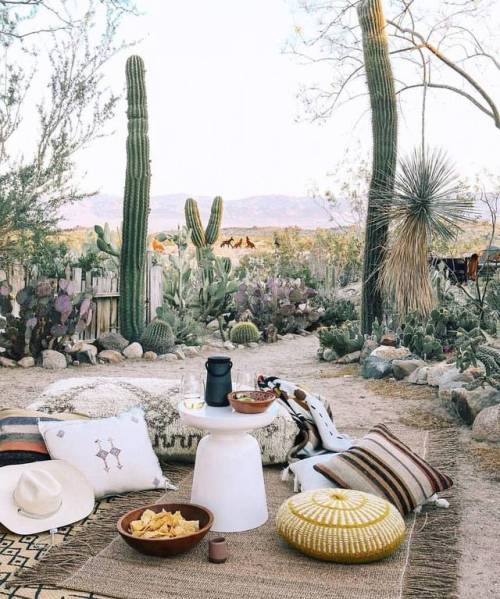 Desert Dreaming Who&rsquo;s coming? Perfection via @coven_and_co  #wanderlust #adventure #cactus