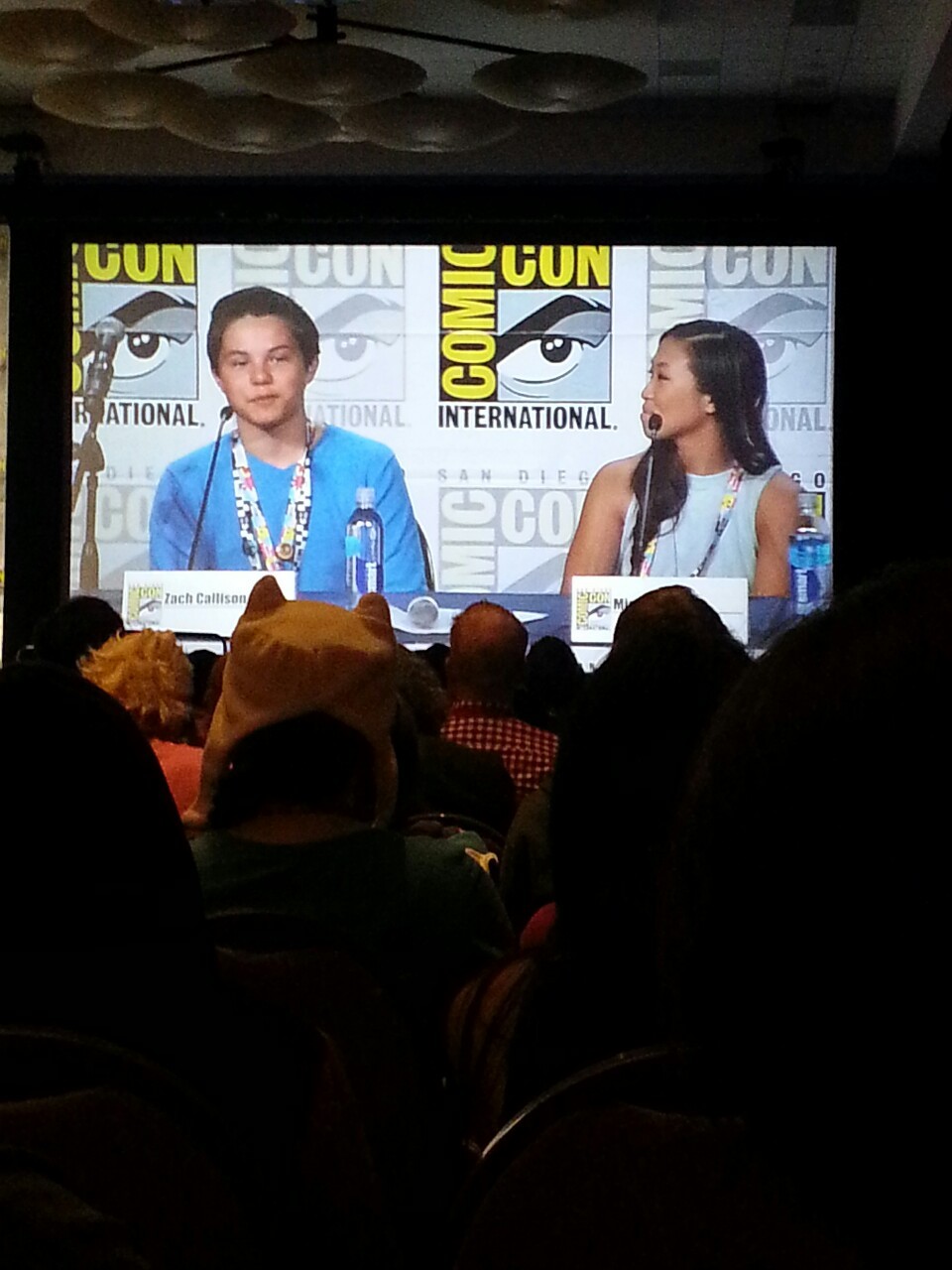 jeffliujeffliu:  ricelily:  Pictures fron the Steven Universe panel.  Nice pics from