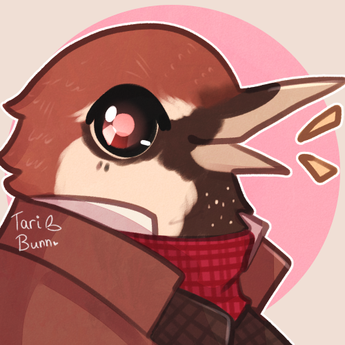 Aviary Attorney icons commissioned by the lovely @retconnedtimelord !! (Please do not use these ^^)A