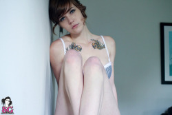  Levee Suicide 